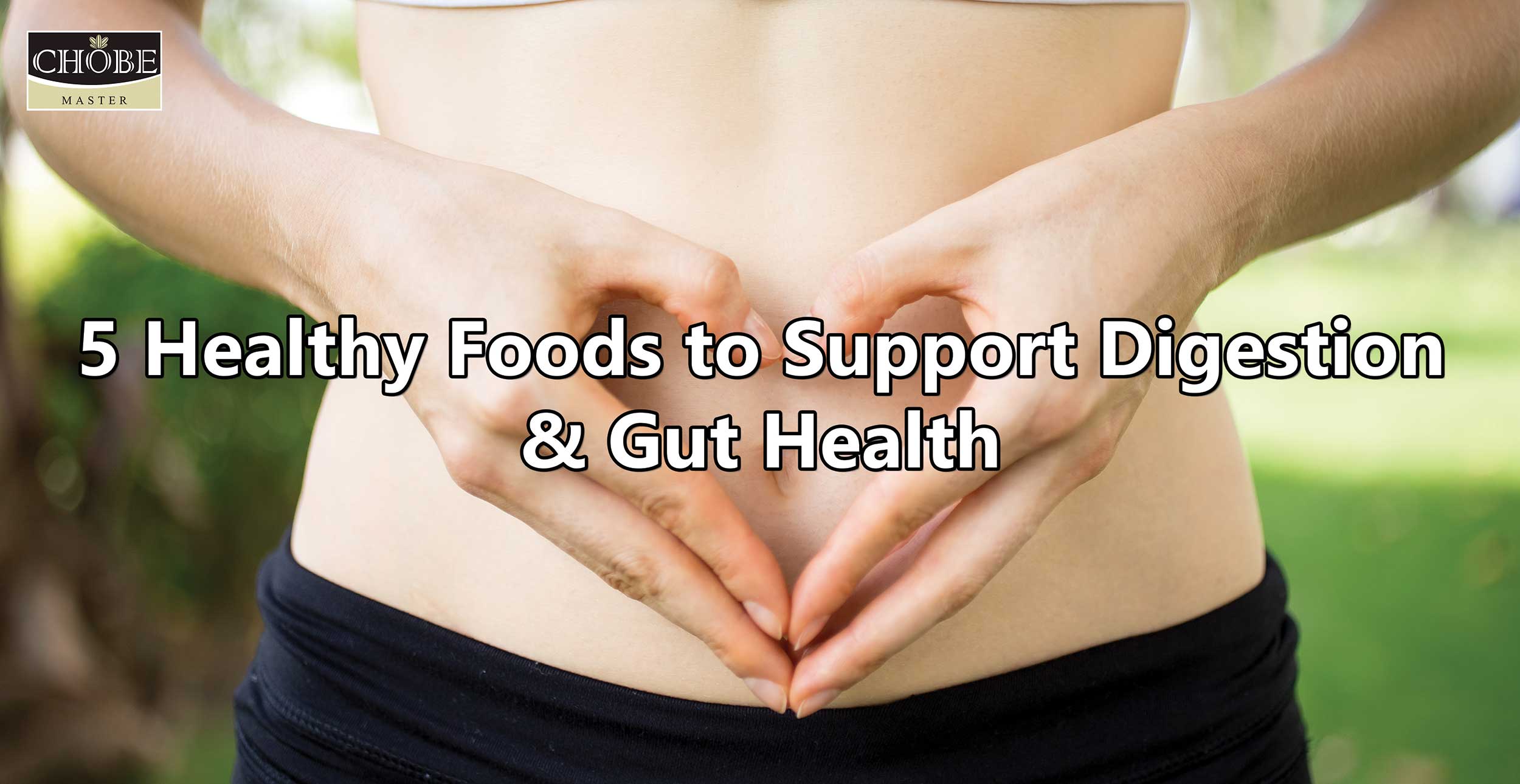 5 Healthy Foods to Support Digestion & Gut Health