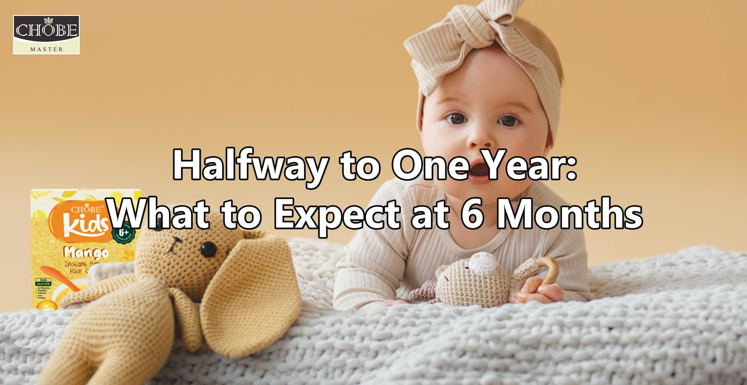 Halfway to One Year: What to Expect at 6 Months