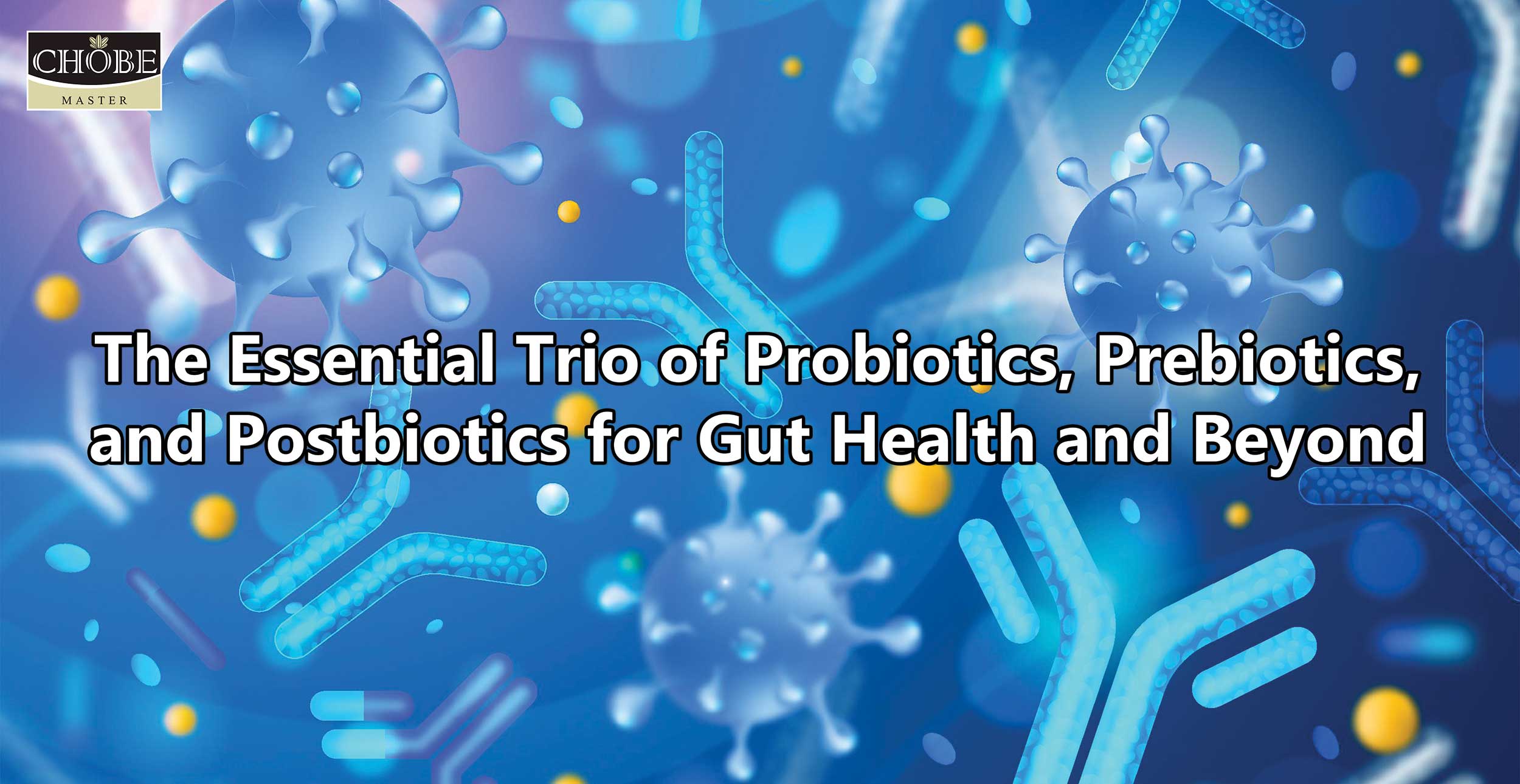 The Essential Trio of Probiotics, Prebiotics, and Postbiotics for Gut Health and Beyond