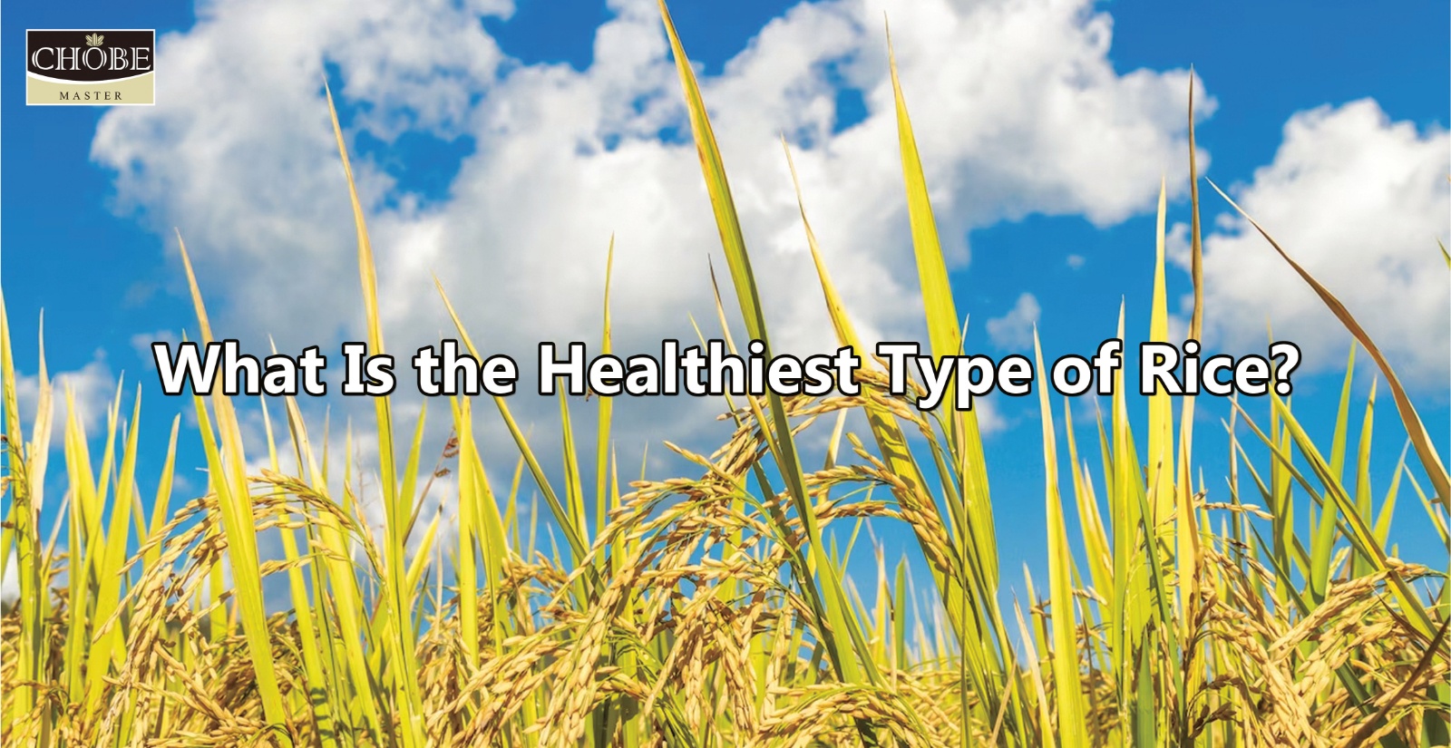 What Is the Healthiest Type of Rice?